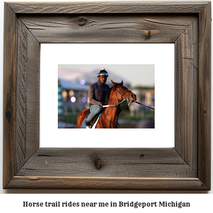 horse trail rides near me in Bridgeport, Michigan